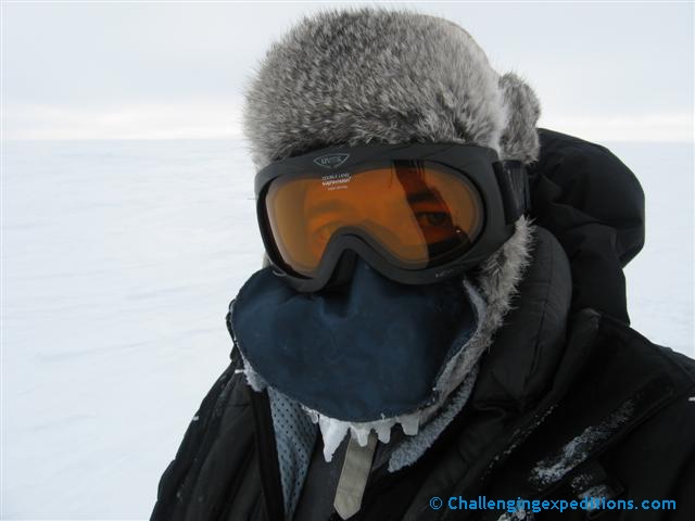 antarctica 2008